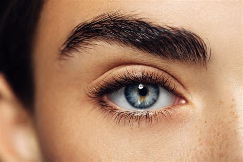 How to get bushy eyebrows. Things To Know About How to get bushy eyebrows. 